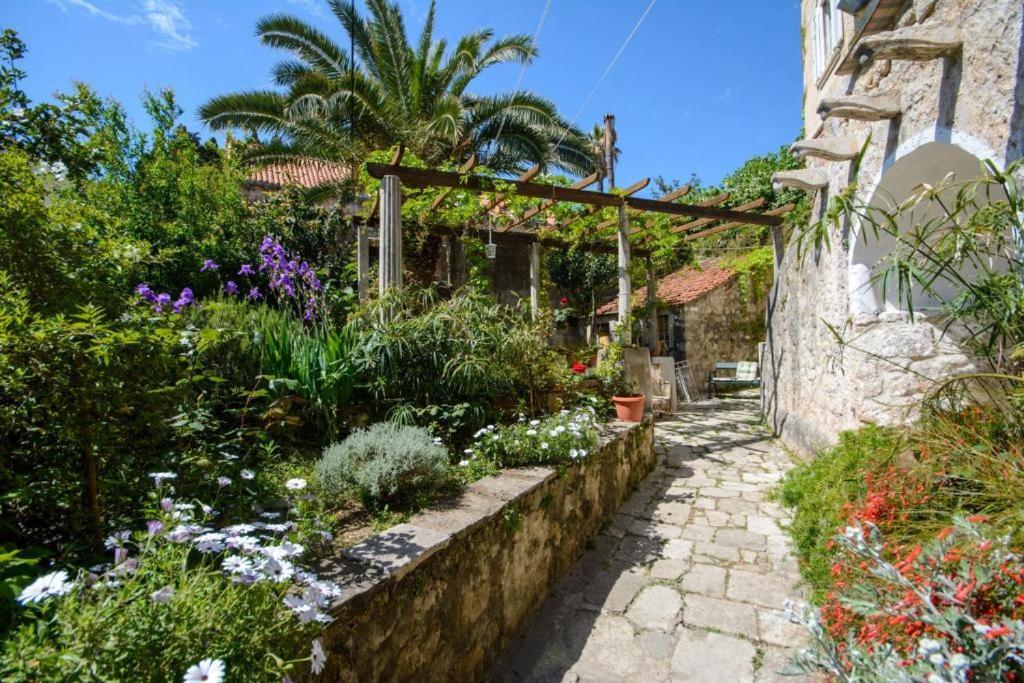 Stella City Center Accommodation Dubrovnik Exterior photo